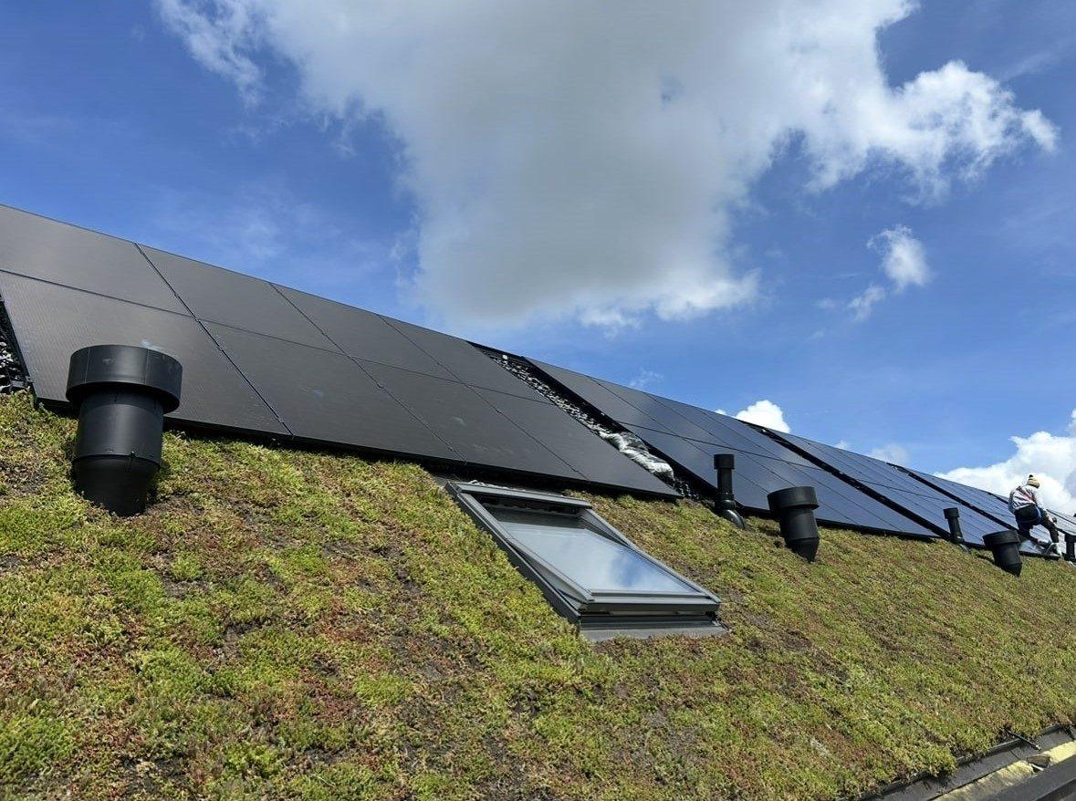 Zwarte zonnepanelen op consoles boven een sedumdak, met dakramen en ontluchtingen ertussen